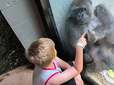 Grandview assistance